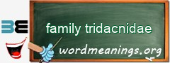 WordMeaning blackboard for family tridacnidae